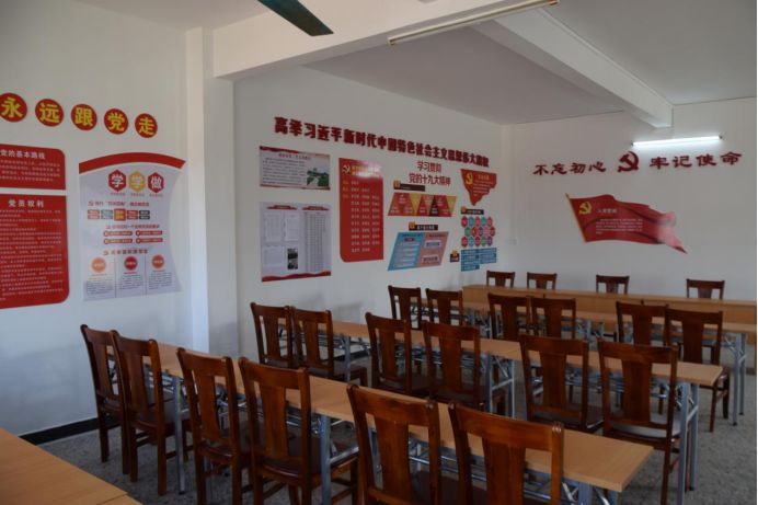 党建领航东成镇全域推进农村人居环境整治