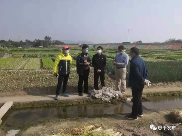 微信图片_20200210084747.jpg