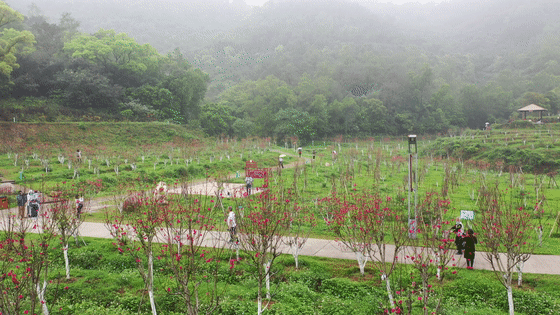 微信图片_20200325095126.gif