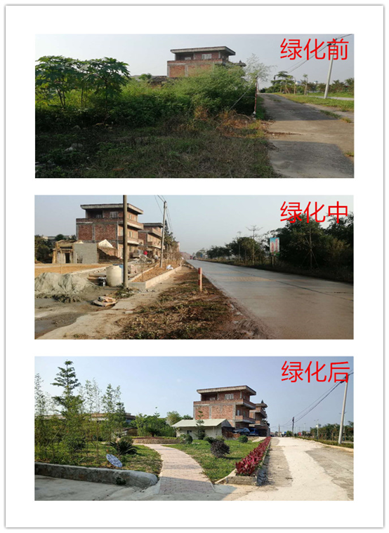 QQ图片20200416084706.png