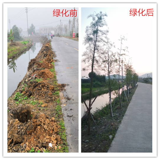 QQ图片20200416084714.png