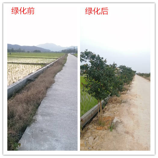 QQ图片20200416084717.png