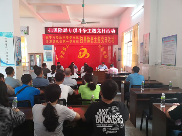 1.市委政法委副书记、市扫黑除恶办主任张文超讲主题党课.jpg