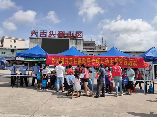 4.成平村六古头商业广场主题党日活动现场.jpg