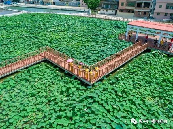 微信图片_20200908085653.jpg
