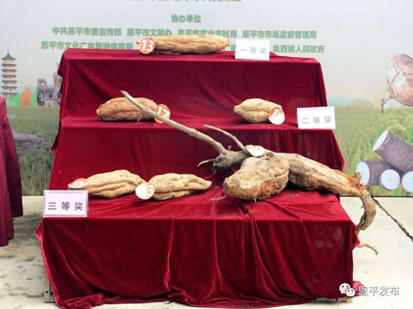 微信图片_20200930180059.jpg