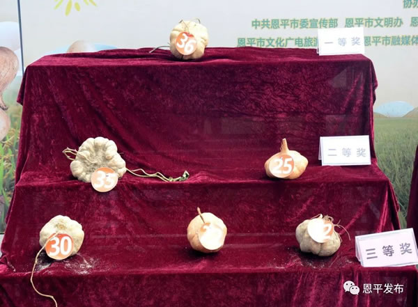 微信图片_20200930180103.jpg