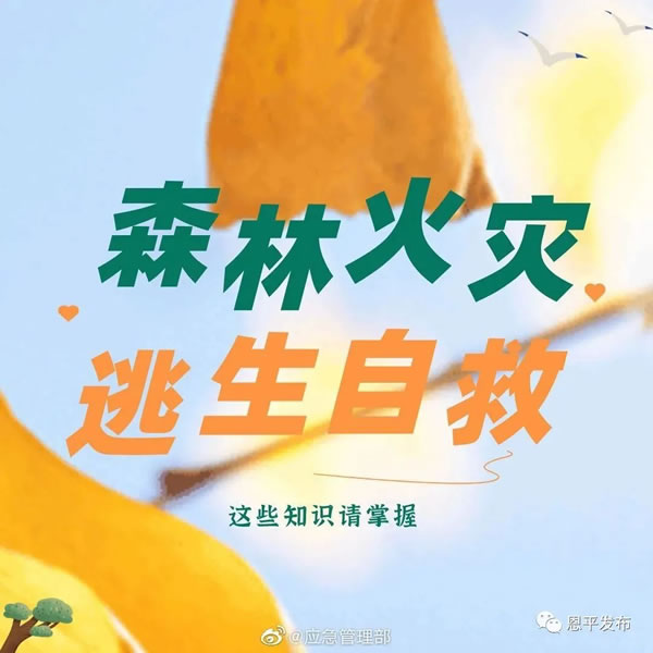 微信图片_20201116093138.jpg