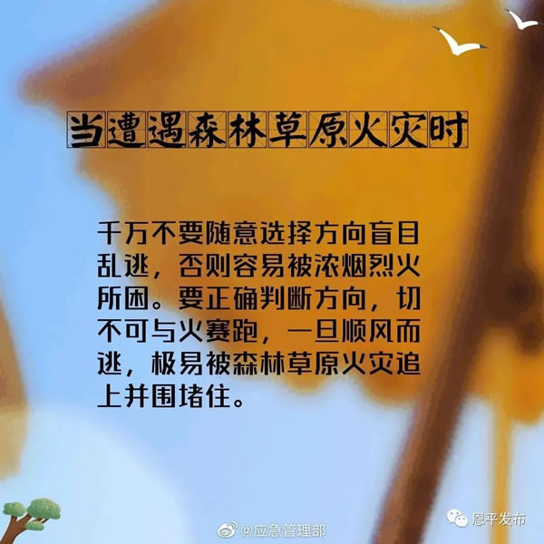 微信图片_20201116093139.jpg