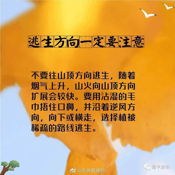 微信图片_20201116093140.jpg