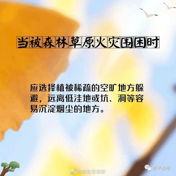 微信图片_20201116093141.jpg