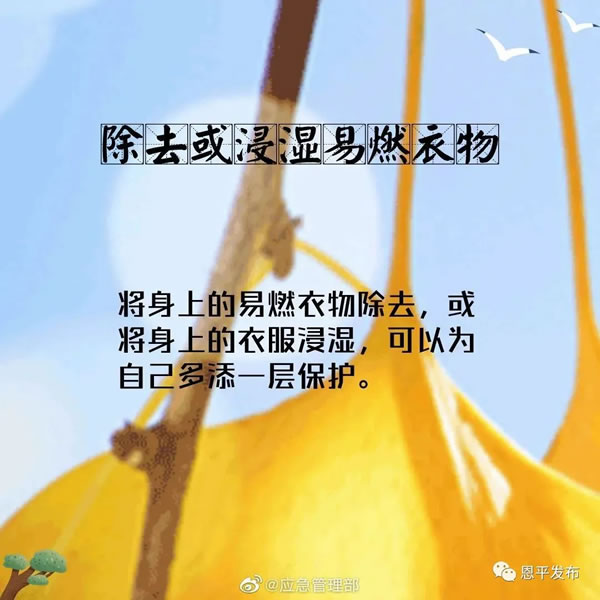 微信图片_20201116093143.jpg