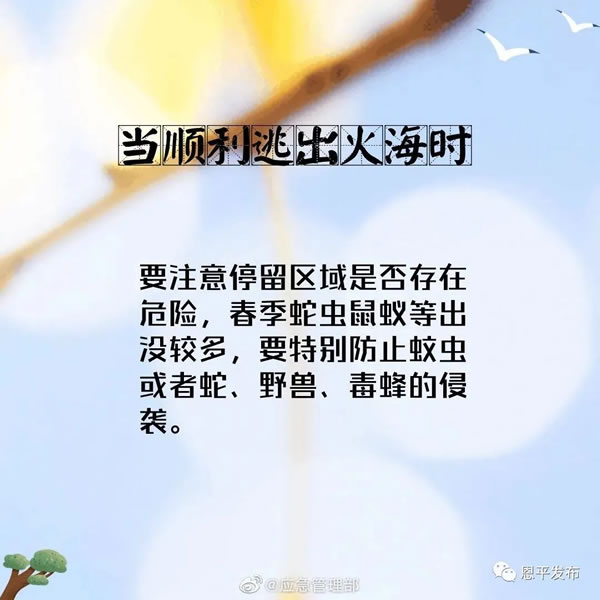 微信图片_20201116093144.jpg