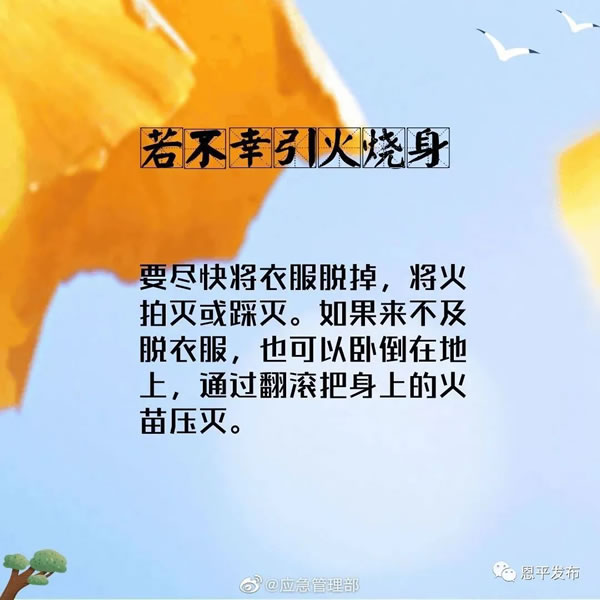 微信图片_20201116093146.jpg
