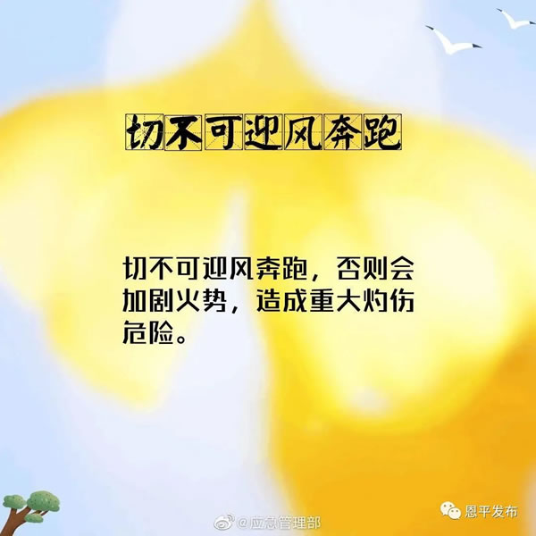 微信图片_20201116093147.jpg