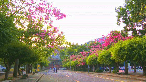 微信图片_20201130100218.gif