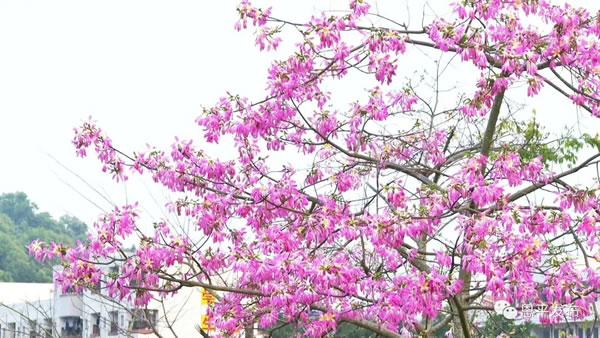 微信图片_20201130100224.jpg