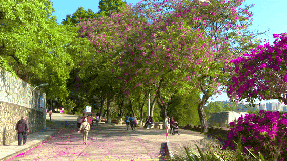微信图片_20201130100225.gif