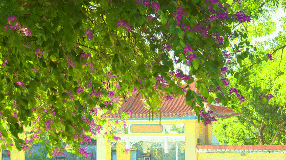 微信图片_20201130100230.gif