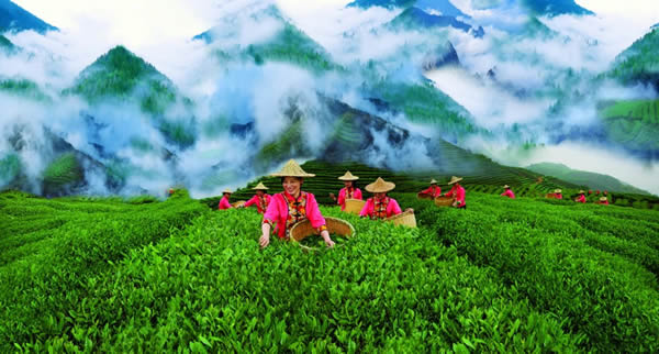 微信图片_20201225172408.jpg