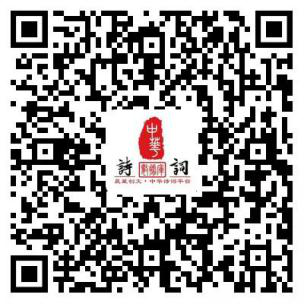 图片12.png