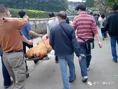 微信图片_20210404231931.jpg