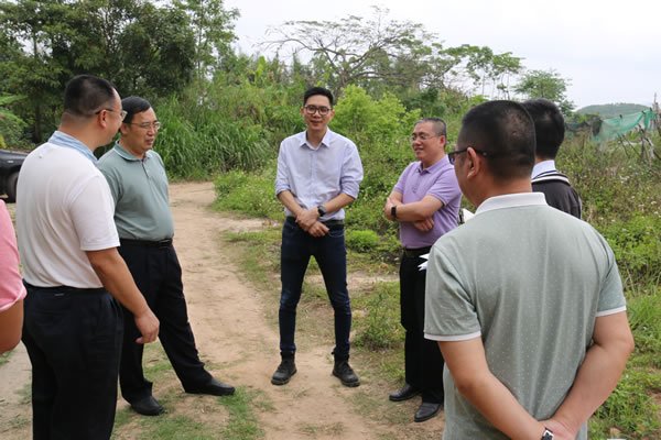 许春绵局长在老冯村村道与相关部门负责人进行深入交流.jpg
