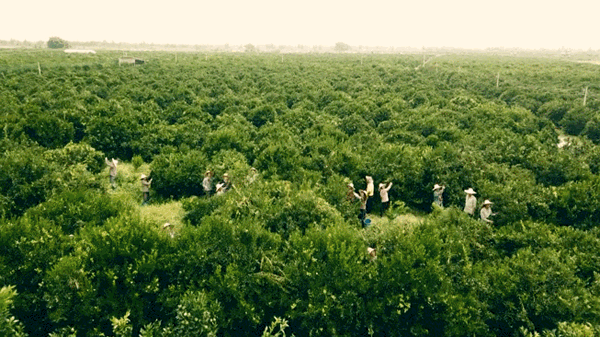 微信图片_20210924094417.gif