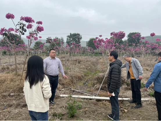 简报2023-19期 沙湖镇：党建引领备春耕 不误农时不负春508.png