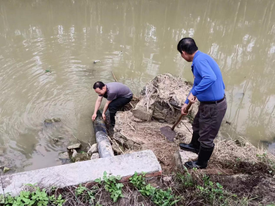 简报2023-19期 沙湖镇：党建引领备春耕 不误农时不负春1389.png