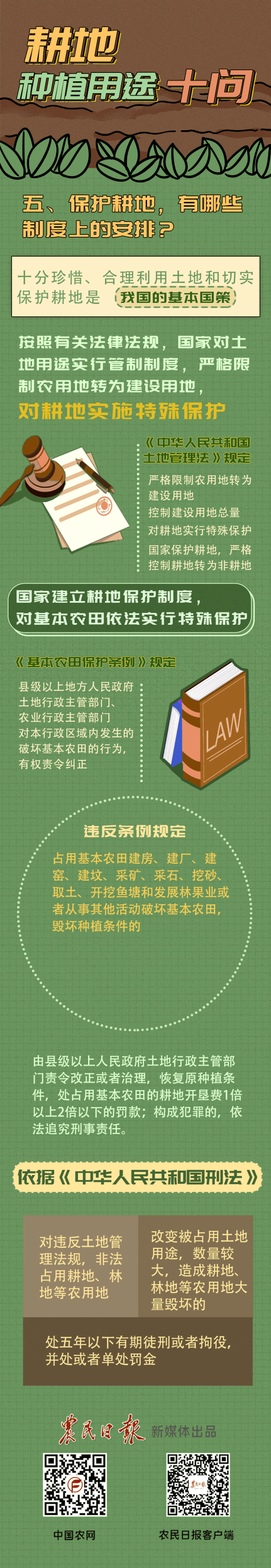 5.gif