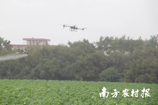 无人机演示现场。 无人机演示现场。