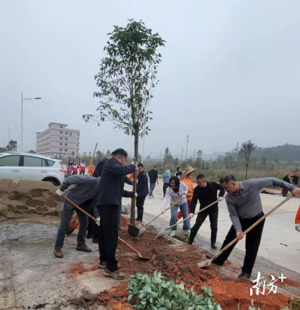 “企”心协力添新绿！恩平工业园开展义务植树活动