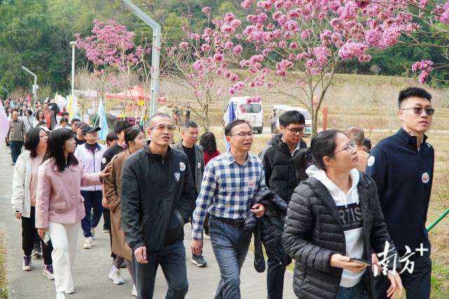 一边享受徒步的乐趣，一边感受鳌峰山桃花灼灼的美妙冬景。
