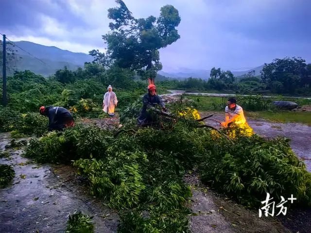 雨水浸湿了他们的衣服,油锯的轰鸣声在风雨中持续不断。 图片