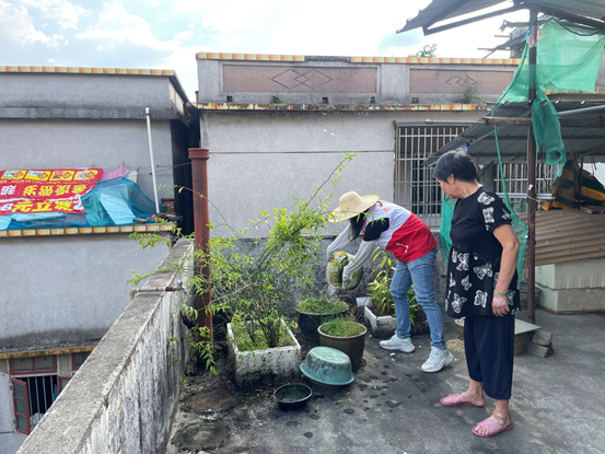 市财政局开展入户防蚊宣传排查工作
