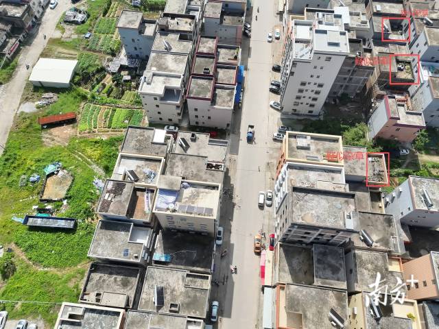 针对发现的孳生“黑点”,系统可按周、按日自动制定巡查计划。 受访者 供图