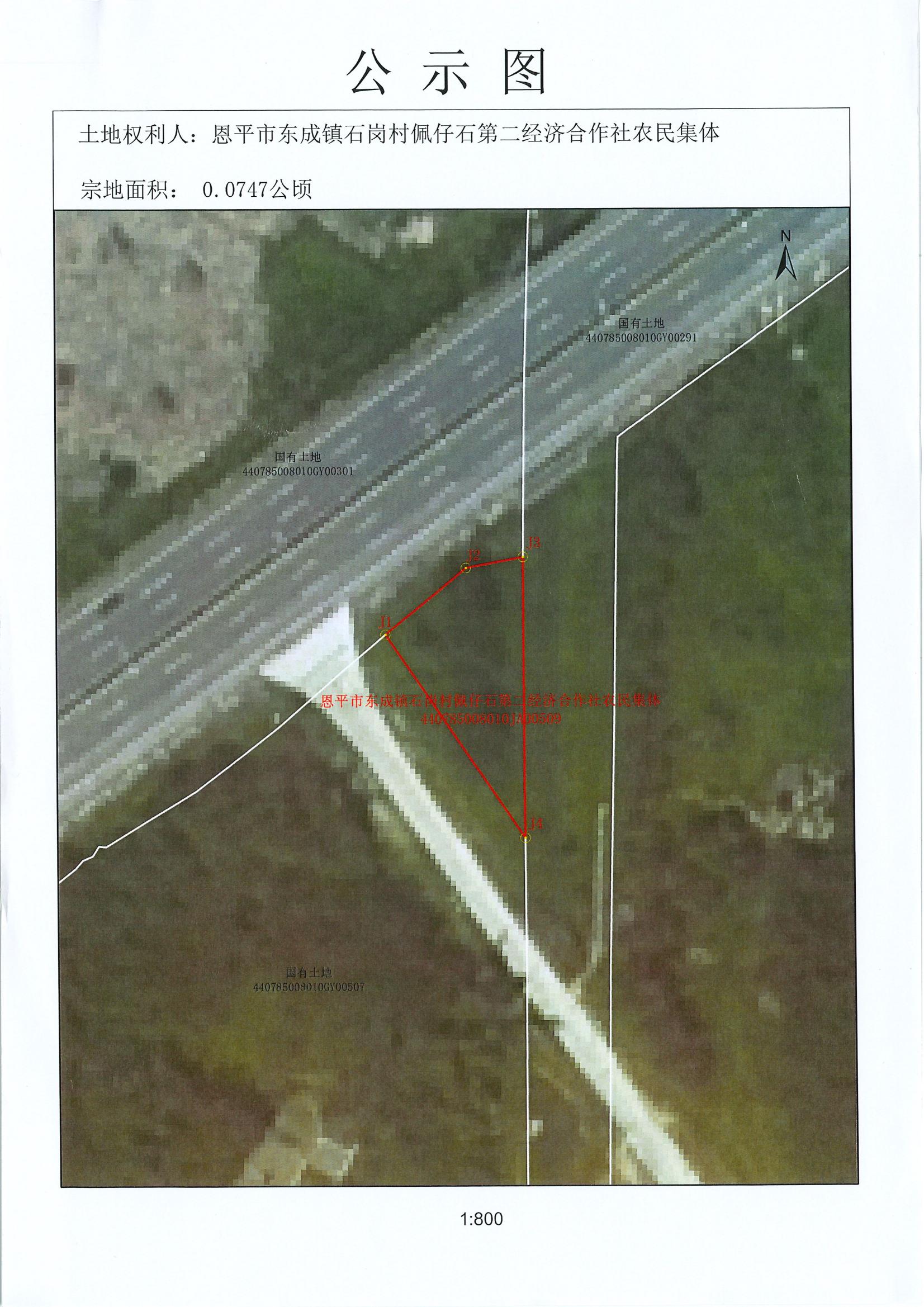 不动产首次登记公告（恩平市东成镇石岗村佩仔石第二经济合作社农村集体）_01.jpg