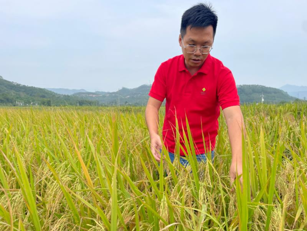 卢艺文：立足社村合作大局 争做全面发展新农人