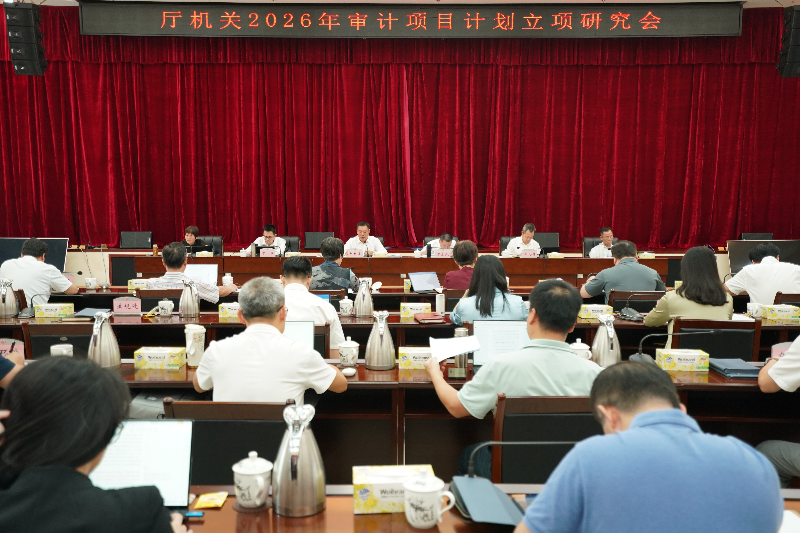省审计厅召开2026年审计项目计划立项研究会 