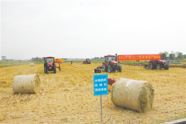 恩平供销系统持续完善服务体系，重点打造牛江镇农产品综合服务站 “社村”合作推动农业现代化