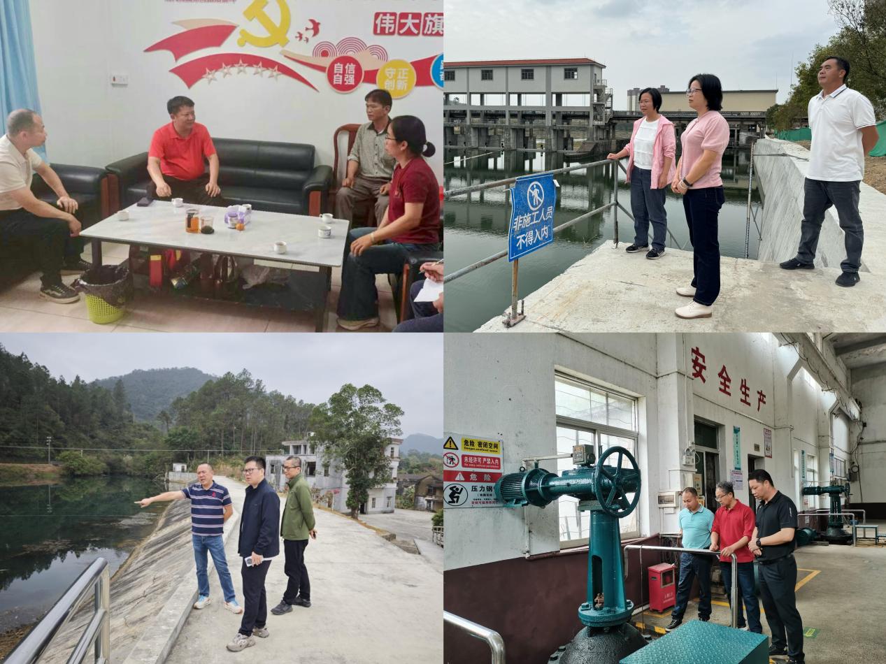 市水利局开展2025年春节后复工复产安全大检查.docx_1