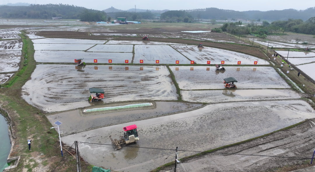 恩平市召开2026年春耕生产现场会
