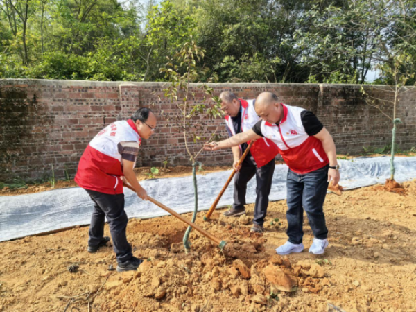 恩平市供销社开展2026年乡村绿化植树活动