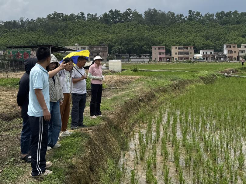 省农科院植保所专家到我市指导早稻病虫害防控