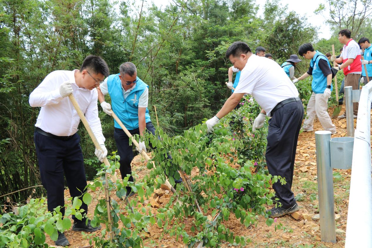 “水边”添绿正当时，生态提质惠民生——恩平市水利局开展“清水绿岸美景·相聚江门西湖”助力“百千万工程”主题植树活动