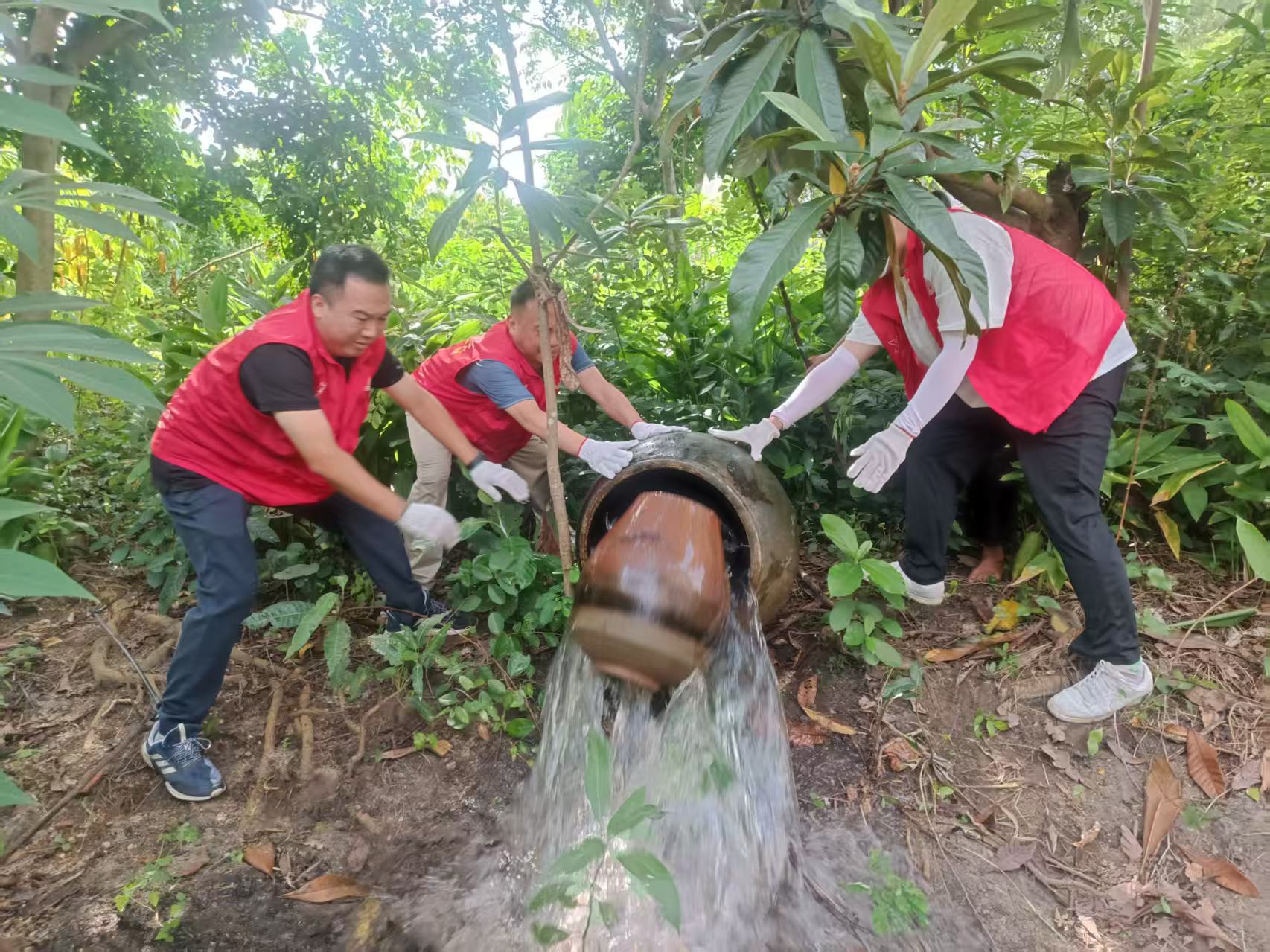 侨都星火践初心 整治环境显担当 