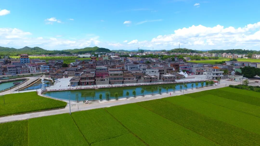 片区组团激活“镇”能量！恩平沙湖牛江联动发展跑出“加速度”