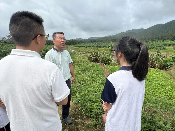 “双百行动” 青年在行动｜五邑大学“耘芋兴邑”突击队深耕恩平市良西镇，科创赋能金山芋特色产业振兴