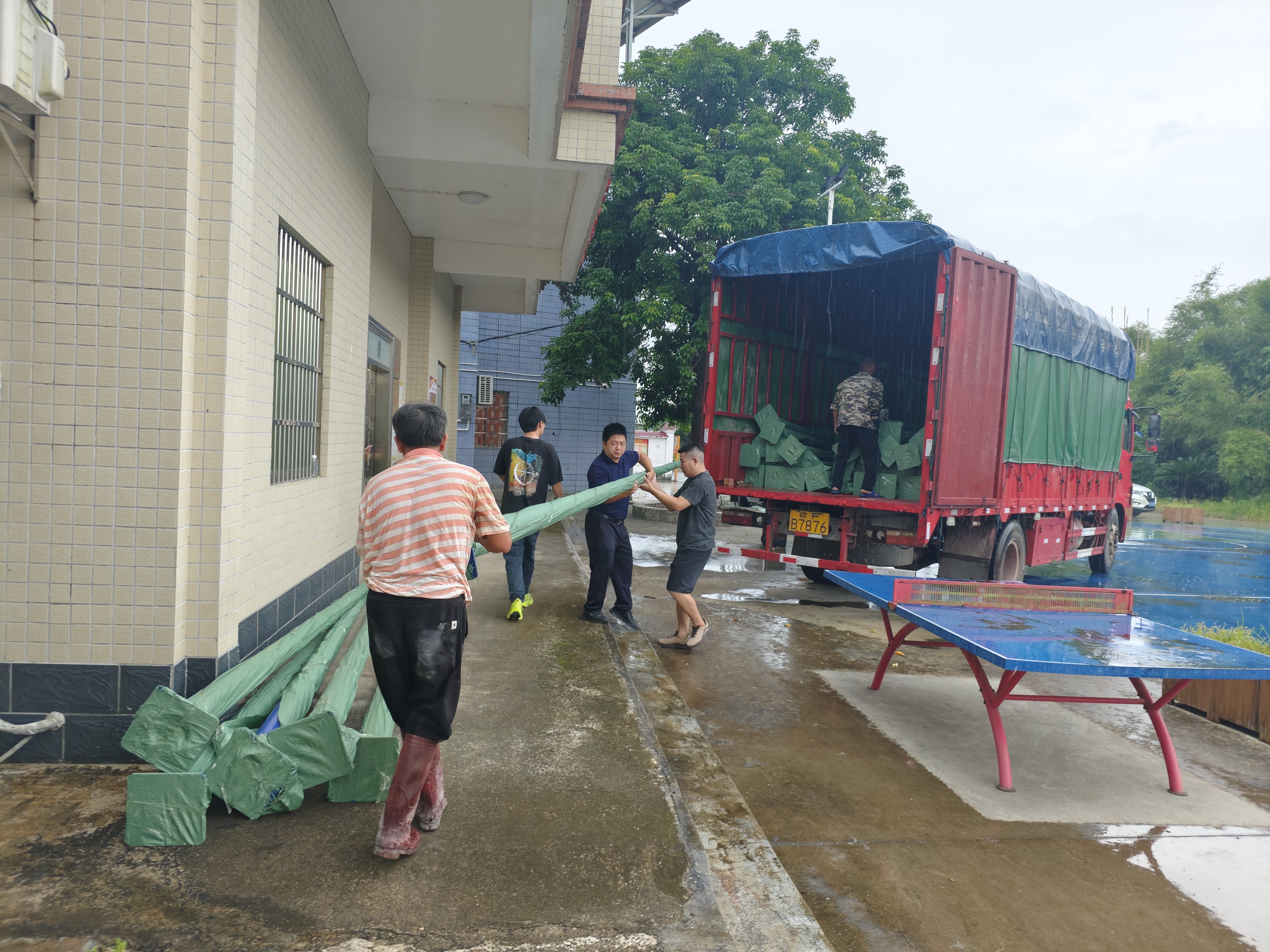 爱心助振兴，路灯暖乡途 